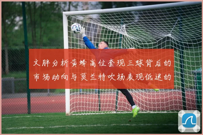 文胖分析黄蜂高位套现三球背后的市场动向与莫兰特吹杨表现低迷的影响
